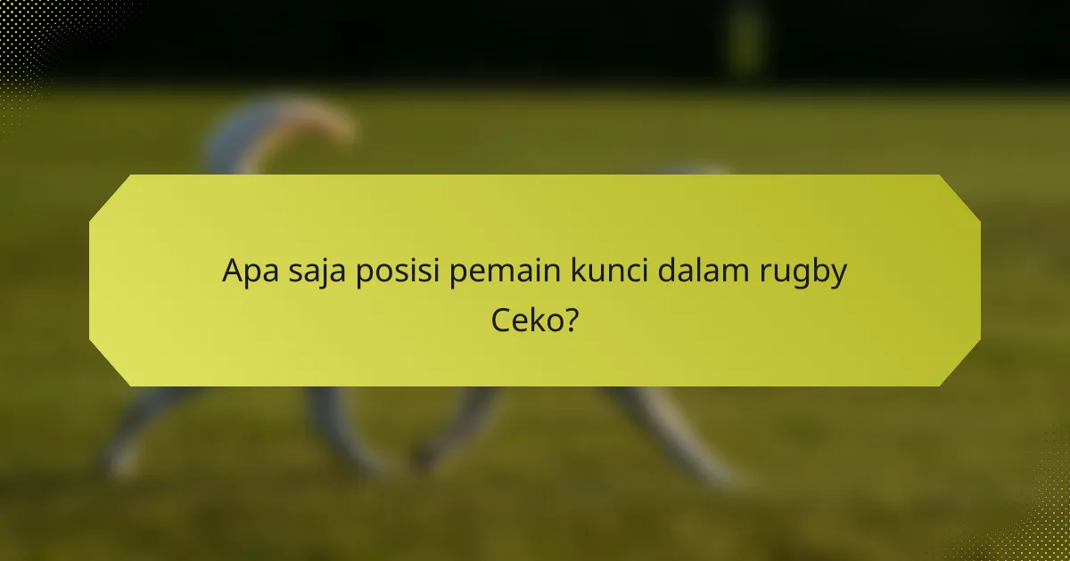 Apa saja posisi pemain kunci dalam rugby Ceko?